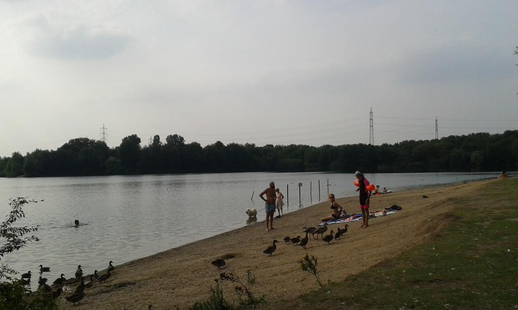 B&B Am See Koeln - Privatzimmer Extérieur photo